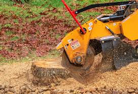 Best Leaf Removal  in Manassas, VA