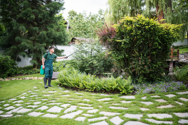 Best Landscape Design and Installation  in Manassas, VA